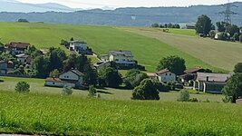 IMG_20250621_092443914.jpg
