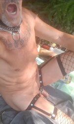 Screenshot_20241109_143806_Samsung Internet.jpg