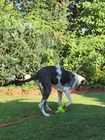 IMG_20240721_205542.jpg