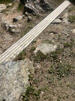 IMG_0076.jpeg