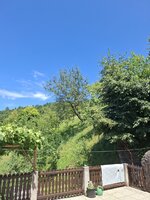 20250628_132541.jpg