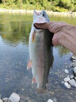 IMG_20250630_083734.jpg