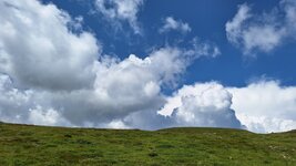 20250703_123110(1).jpg