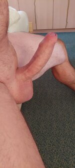 1000010949.jpg