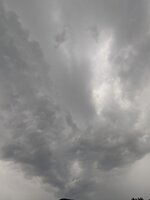 PXL_20250703_155721893.jpg