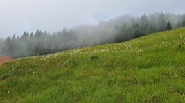 20250704_105956.jpg