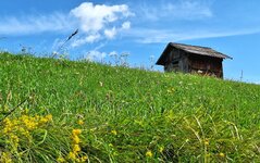 20250705_100602(1)(1).jpg