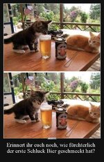 309d1986bade13e65f3b283b9a21d5e0 (1).jpg