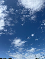 IMG_7850.jpeg