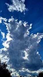 20250713_163915.jpg