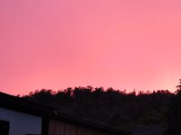 IMG_20250713_204624.jpg