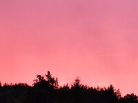 IMG_20250713_204628.jpg