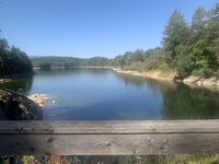 IMG_4456.jpeg