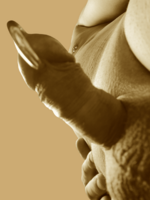 IMG_20250715_152257 (1).png