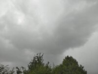 15,07-16 um 11.05.48_644b7d6b.jpg