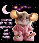 Gute Nacht a1aee381bf3820cd29.jpg