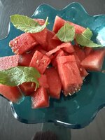 IMG_8140.jpeg
