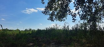 1000167135.jpg 1000167135.jpg