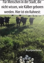 Screenshot 2025-07-18 212349.png