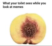 Klo f99894744aec4.jpg