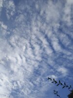 21,07-21 um 20.55.17_8946df53.jpg