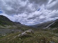 20250720_112225.jpg