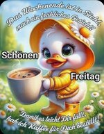 Screenshot_20250725_051212_Pinterest.jpg