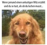 witz.jpg