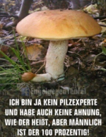 Screenshot 2025-07-27 145014.png