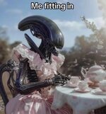 1000071706.jpg