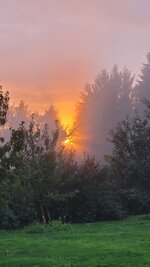 20250729_202006.jpg