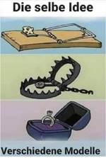 1753867492920.png