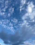 IMG_8450.jpeg