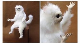 Screenshot_20250728_014241_Samsung Internet.jpg Screenshot_20250728_014241_Samsung Internet.jpg