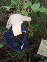 WhatsApp Bild 2025-08-01 um 09.29.55_4ceb138e.jpg