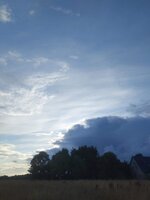 02,,,-08-02 um 15.45.25_4af521a2.jpg