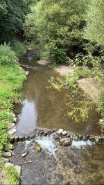 124D0583-51F2-402A-842F-99CD5066D0F9.jpeg