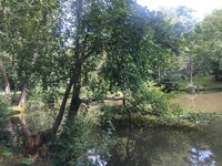 IMG_20250803_101224.jpg