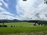 IMG_4139.jpeg