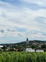 IMG_4141.jpeg