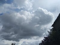 03,08 2025-08-03 um 15.39.59_35fa7868.jpg