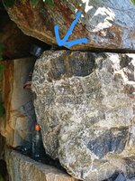 20250805_105510.jpg