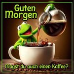 IMG_4157.jpeg