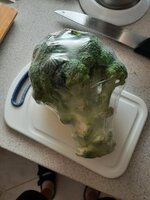 17547456477373411328527208852078.jpg 17547456477373411328527208852078.jpg