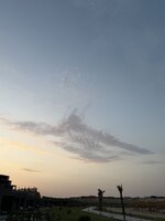 IMG_8753.jpeg
