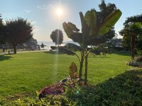 IMG_4710.jpeg
