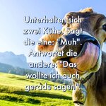 lustige-sprueche-2-768x768-1076517422.jpg