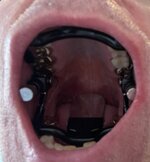 IMG_0662.JPEG IMG_0662.JPEG