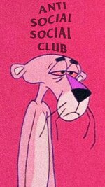 HD-wallpaper-sad-panther-aesthetic-antisocial-antisocial-social-club-pantera-rosa-sleep-sleepi...jpg