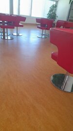 IMG_20250811_123956_134.jpg